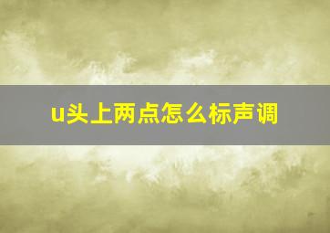 u头上两点怎么标声调