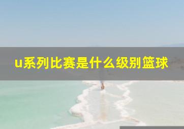 u系列比赛是什么级别篮球