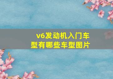 v6发动机入门车型有哪些车型图片