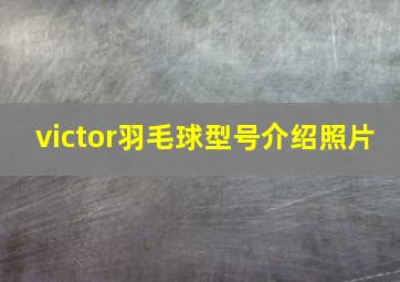 victor羽毛球型号介绍照片