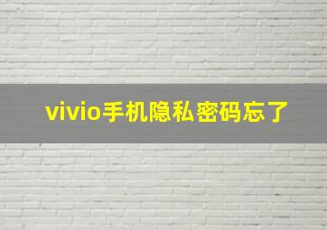 vivio手机隐私密码忘了