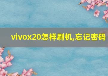 vivox20怎样刷机,忘记密码