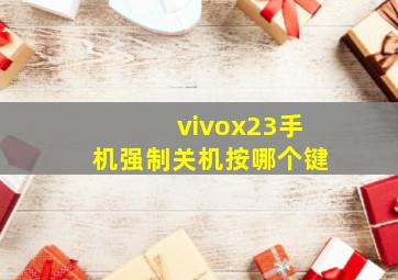 vivox23手机强制关机按哪个键