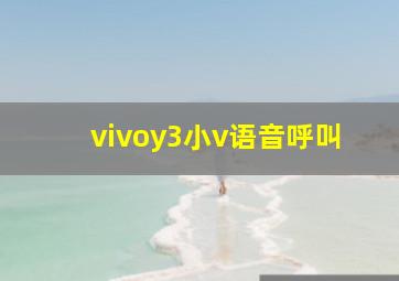 vivoy3小v语音呼叫