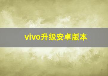 vivo升级安卓版本