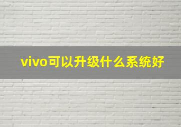 vivo可以升级什么系统好