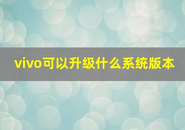 vivo可以升级什么系统版本