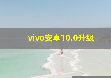 vivo安卓10.0升级