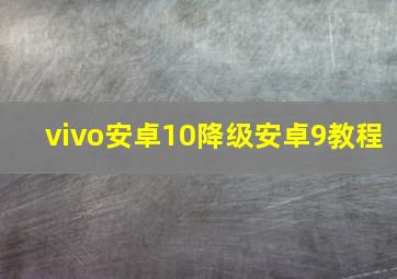 vivo安卓10降级安卓9教程