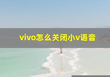 vivo怎么关闭小v语音