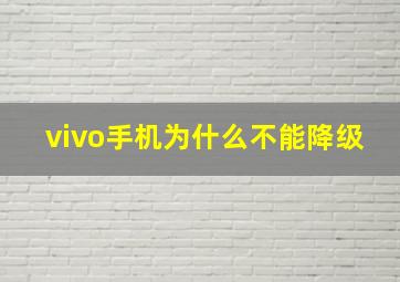 vivo手机为什么不能降级