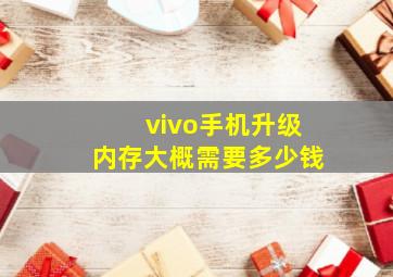 vivo手机升级内存大概需要多少钱