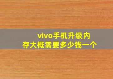 vivo手机升级内存大概需要多少钱一个