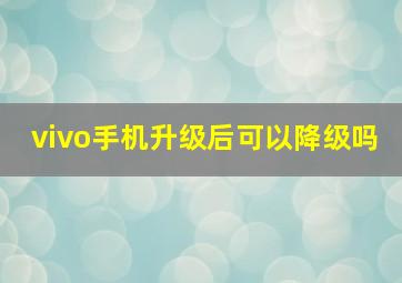 vivo手机升级后可以降级吗