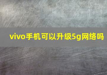 vivo手机可以升级5g网络吗