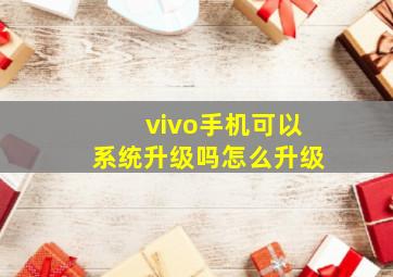 vivo手机可以系统升级吗怎么升级