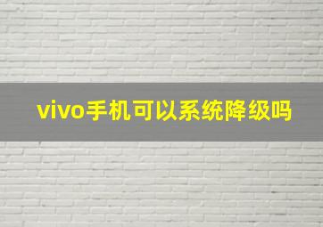 vivo手机可以系统降级吗