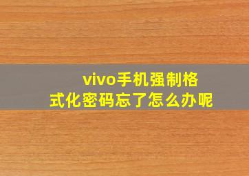 vivo手机强制格式化密码忘了怎么办呢