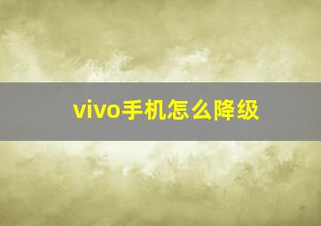 vivo手机怎么降级