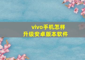 vivo手机怎样升级安卓版本软件