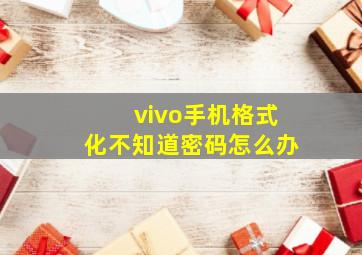 vivo手机格式化不知道密码怎么办