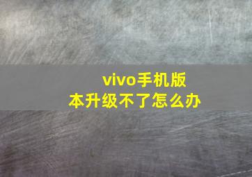 vivo手机版本升级不了怎么办