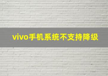 vivo手机系统不支持降级