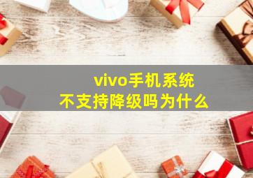 vivo手机系统不支持降级吗为什么