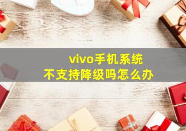 vivo手机系统不支持降级吗怎么办