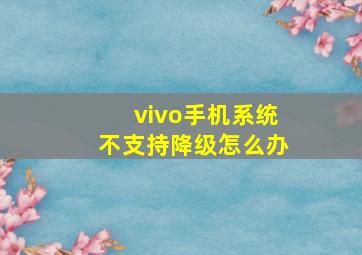 vivo手机系统不支持降级怎么办