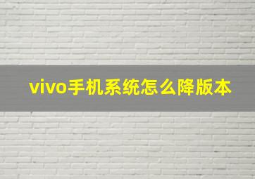 vivo手机系统怎么降版本