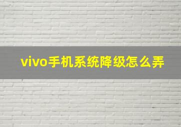 vivo手机系统降级怎么弄