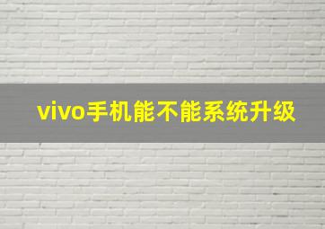 vivo手机能不能系统升级