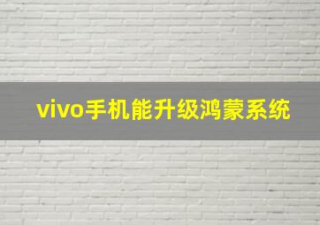 vivo手机能升级鸿蒙系统