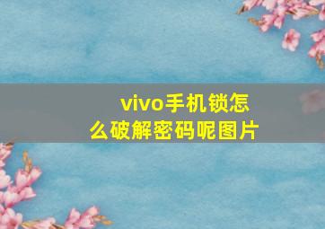 vivo手机锁怎么破解密码呢图片