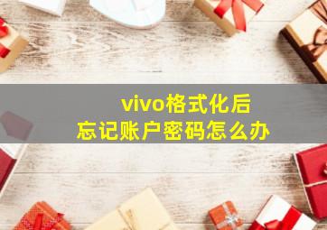 vivo格式化后忘记账户密码怎么办