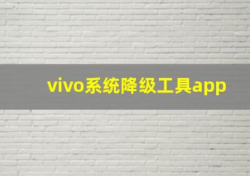 vivo系统降级工具app