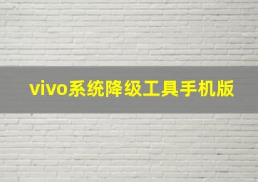 vivo系统降级工具手机版