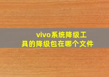 vivo系统降级工具的降级包在哪个文件