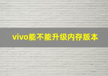 vivo能不能升级内存版本