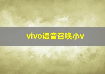 vivo语音召唤小v