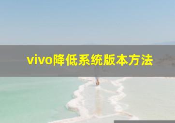 vivo降低系统版本方法