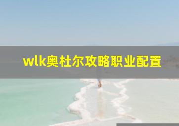 wlk奥杜尔攻略职业配置