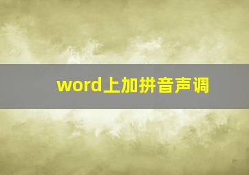 word上加拼音声调