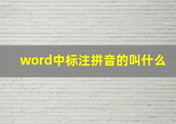 word中标注拼音的叫什么