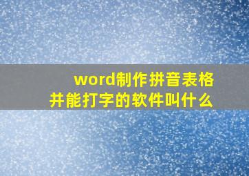 word制作拼音表格并能打字的软件叫什么