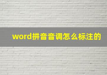 word拼音音调怎么标注的