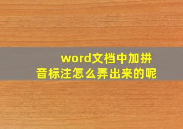 word文档中加拼音标注怎么弄出来的呢