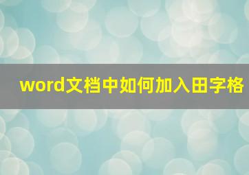 word文档中如何加入田字格