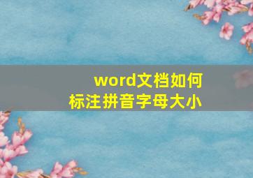 word文档如何标注拼音字母大小